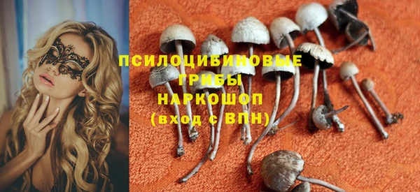 ALPHA PVP Алзамай