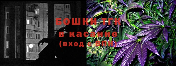 ГАЛЛЮЦИНОГЕННЫЕ ГРИБЫ Абаза